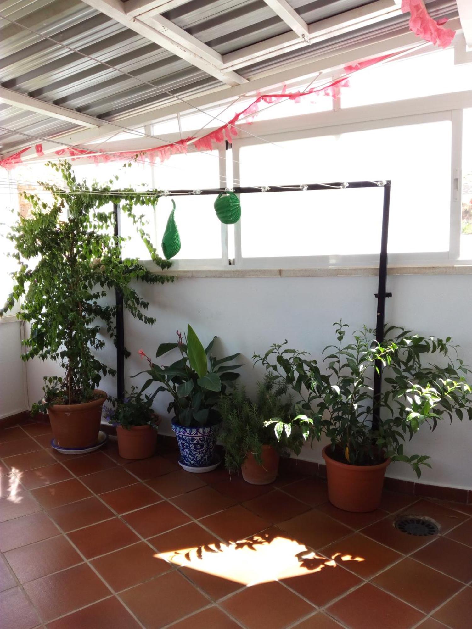 Hostal Rural Montual Los Banos  Exterior photo